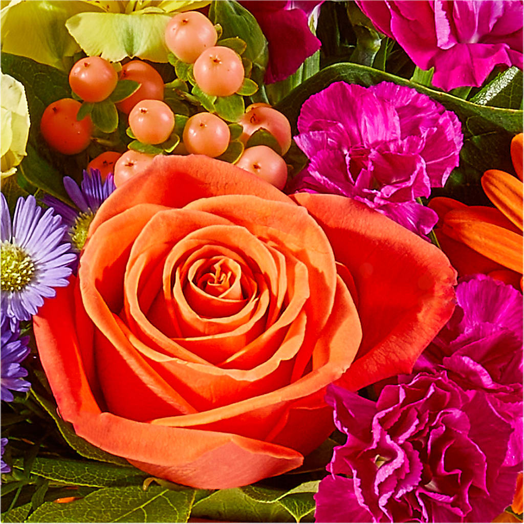 Tricks & Treats Pumpkin –  Charleston Cut Flower Company, Charleston WV