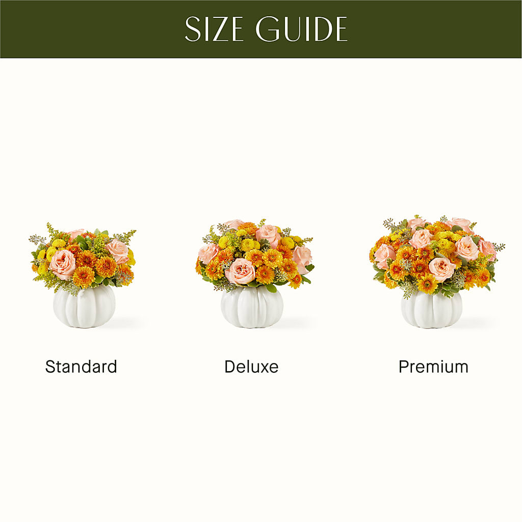Peachy Pumpkin –  Charleston Cut Flower Company, Charleston WV