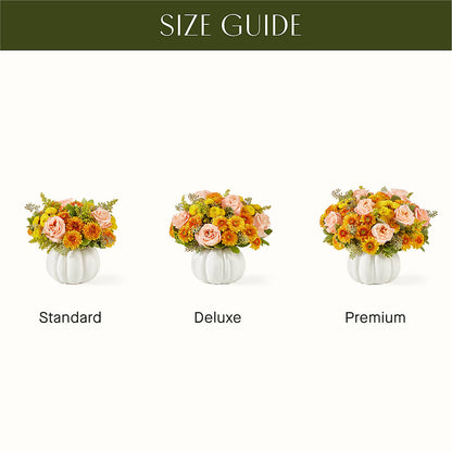 Peachy Pumpkin –  Charleston Cut Flower Company, Charleston WV