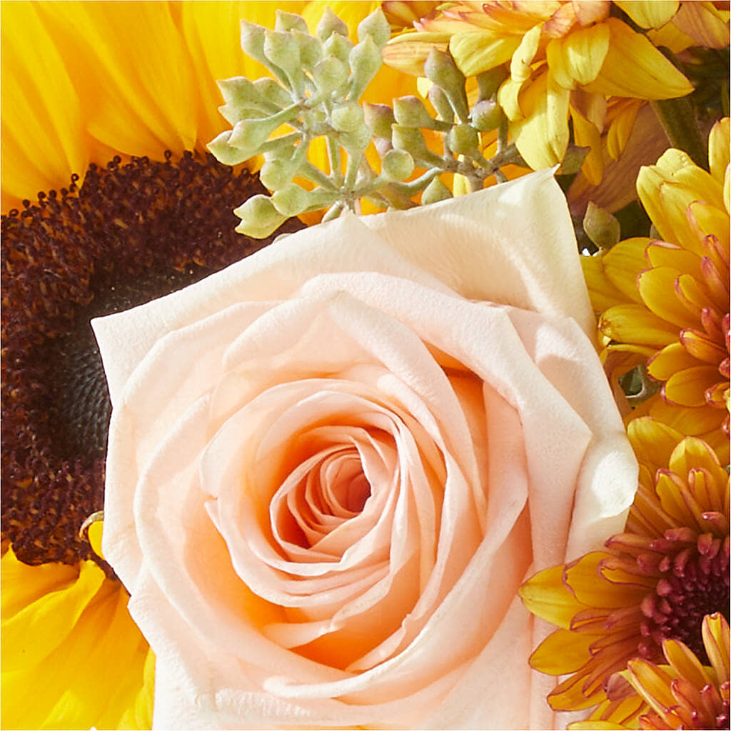 Pumpkin to Talk About Bouquet –  Charleston Cut Flower Company, Charleston WV