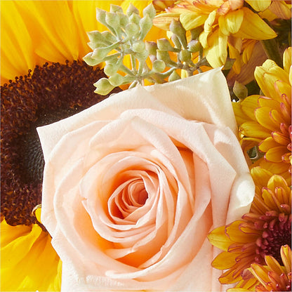 Pumpkin to Talk About Bouquet –  Charleston Cut Flower Company, Charleston WV