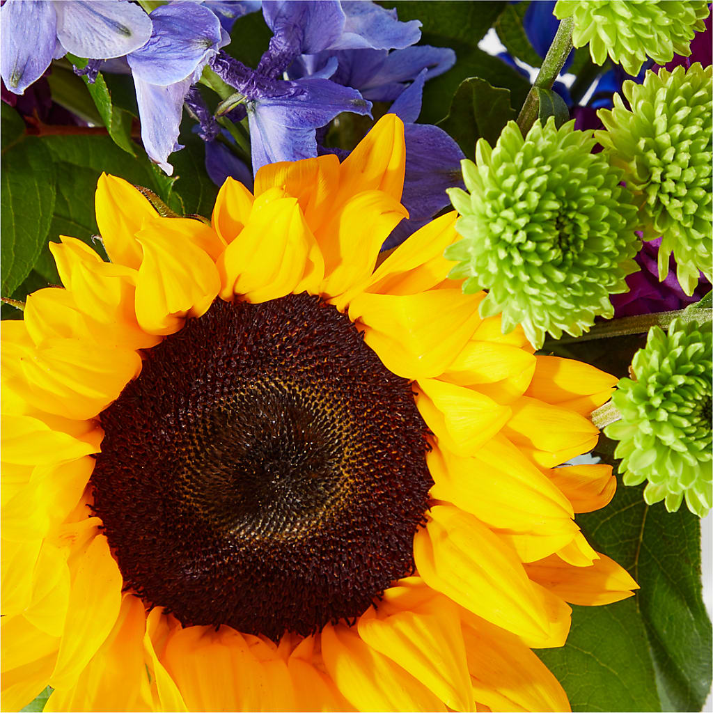 Catching Rays Bouquet –  Charleston Cut Flower Company, Charleston WV