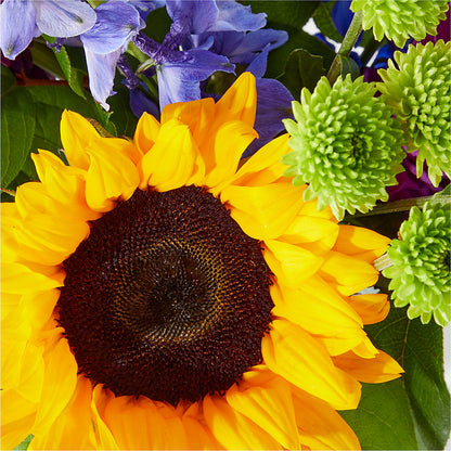 Catching Rays Bouquet –  Charleston Cut Flower Company, Charleston WV