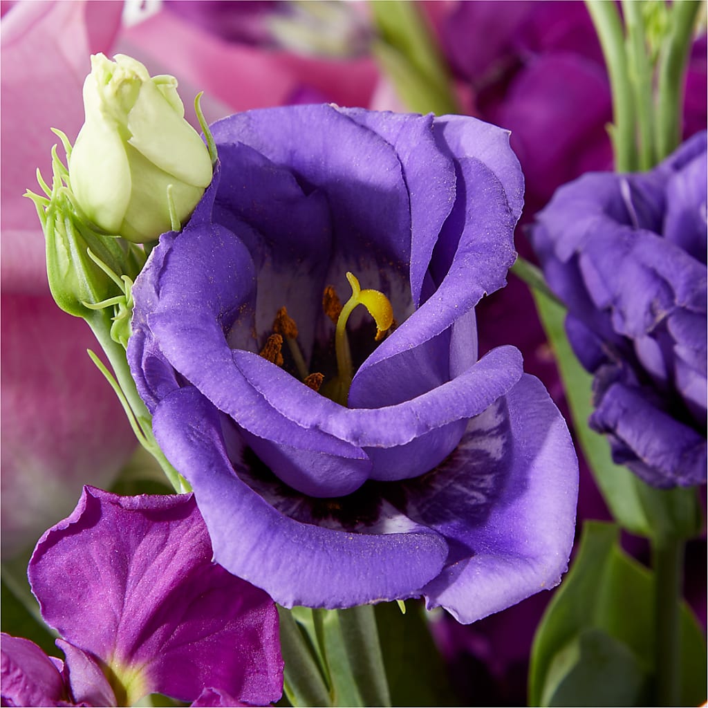Twilight Glow Bouquet –  Charleston Cut Flower Company, Charleston WV