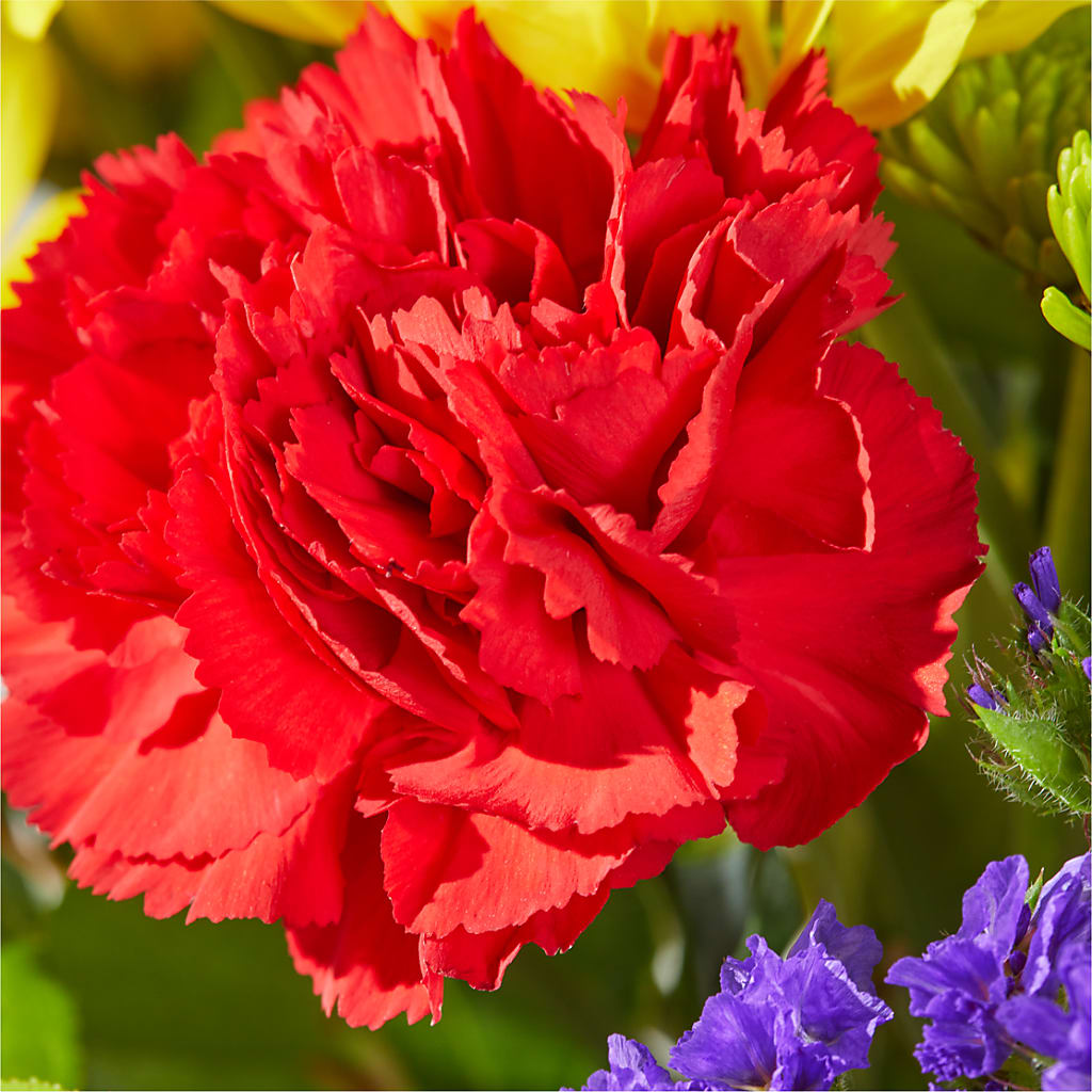 Brighter Days Bouquet –  Charleston Cut Flower Company, Charleston WV