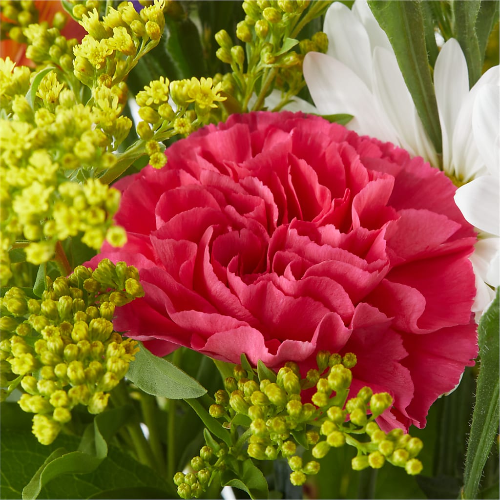 Oopsie Daisy Bouquet –  Charleston Cut Flower Company, Charleston WV