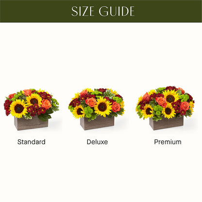 Happy Harvest Garden –  Charleston Cut Flower Company, Charleston WV