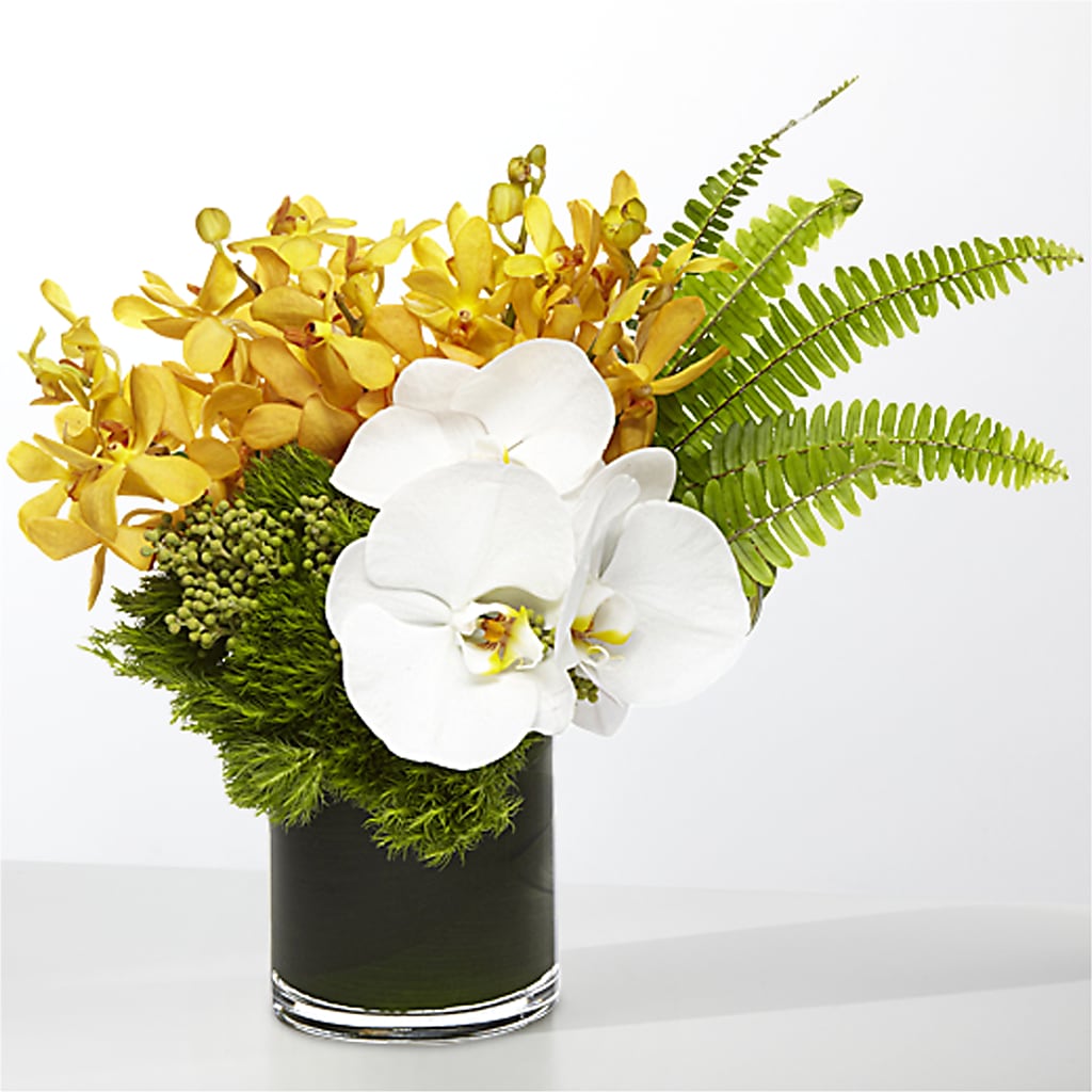 The Tropics –  Charleston Cut Flower Company, Charleston WV