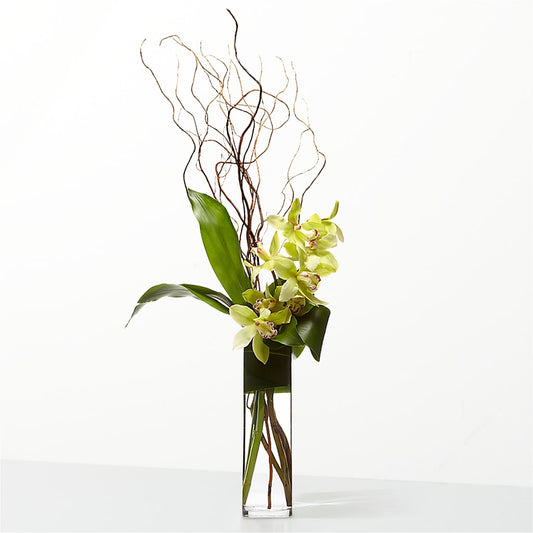 The Statement –  Charleston Cut Flower Company, Charleston WV