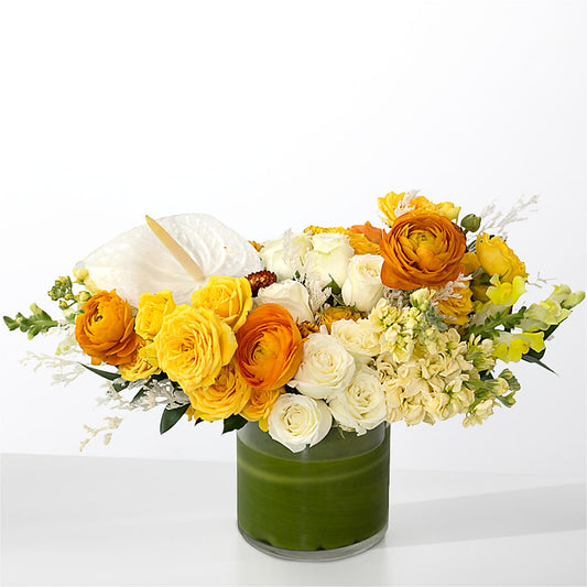 The Optimist –  Charleston Cut Flower Company, Charleston WV