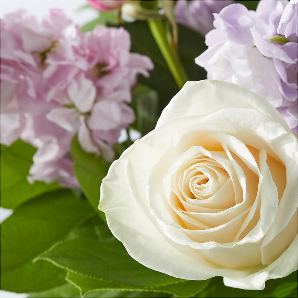 Springtime Spritz Bouquet –  Charleston Cut Flower Company, Charleston WV