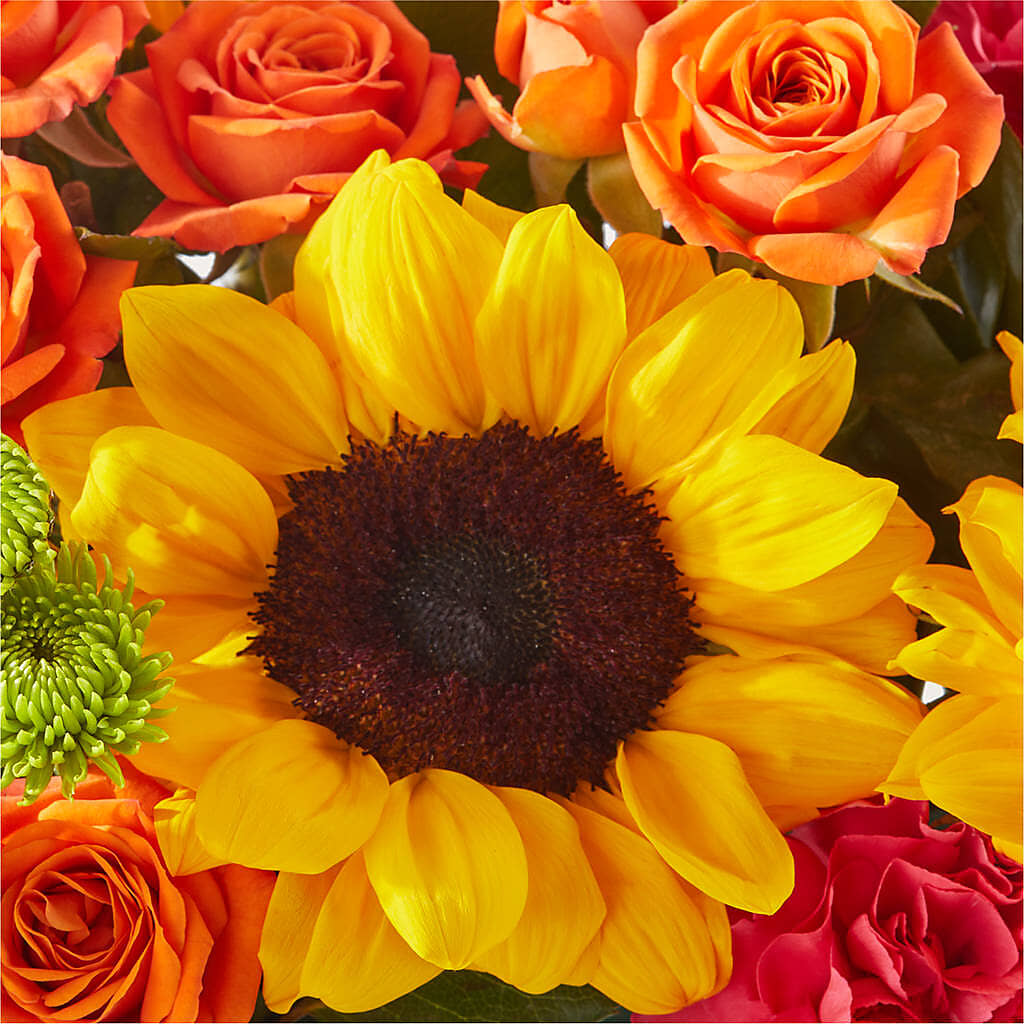 Sun-drenched Blooms Box Bouquet –  Charleston Cut Flower Company, Charleston WV