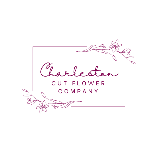 Gourmet Gift Baskets Delivery Charleston Charleston Cut Flower