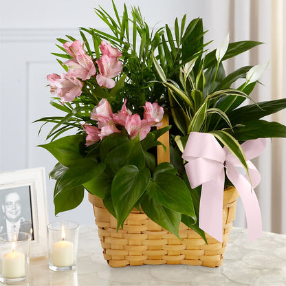 Living Spirit Dishgarden –  Charleston Cut Flower Company, Charleston WV