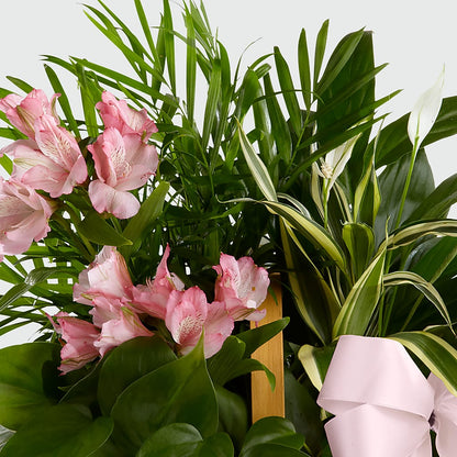 Living Spirit Dishgarden –  Charleston Cut Flower Company, Charleston WV