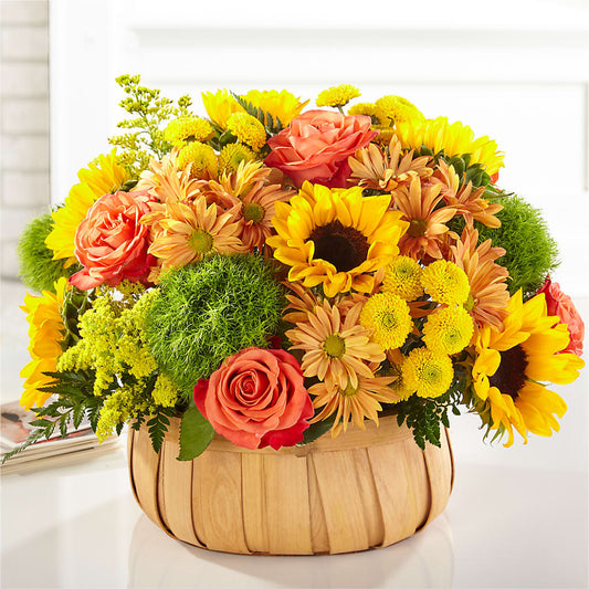 Harvest Sunflower Basket –  Charleston Cut Flower Company, Charleston WV