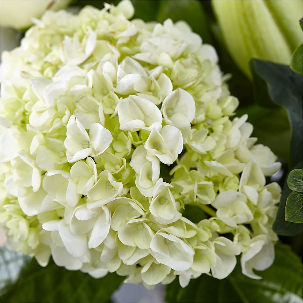 Classic Ivory – A Florist Original –  Charleston Cut Flower Company, Charleston WV