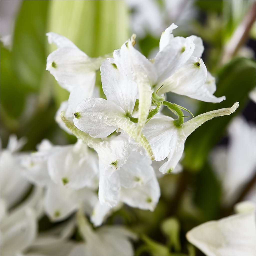 Classic Ivory – A Florist Original –  Charleston Cut Flower Company, Charleston WV