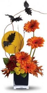 Teleflora's Boo-tiful Bats by CCF –  Charleston Cut Flower Company, Charleston WV