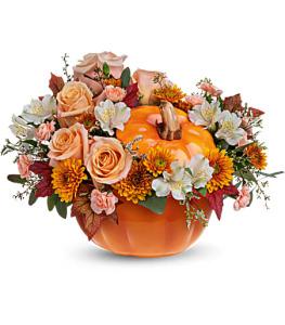 Teleflora's Hello Pumpkin by CCF