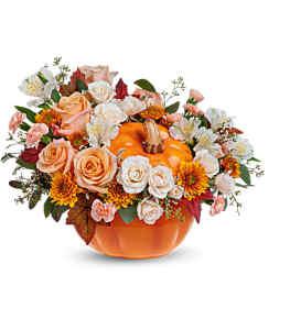 Teleflora's Hello Pumpkin by CCF