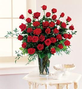Three Dozen Red Roses - by Charleston Cut Flower Co. –  Charleston Cut Flower Company, Charleston WV