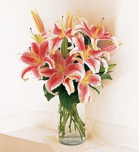 Lovely Lilies - by Charleston Cut Flower Co.