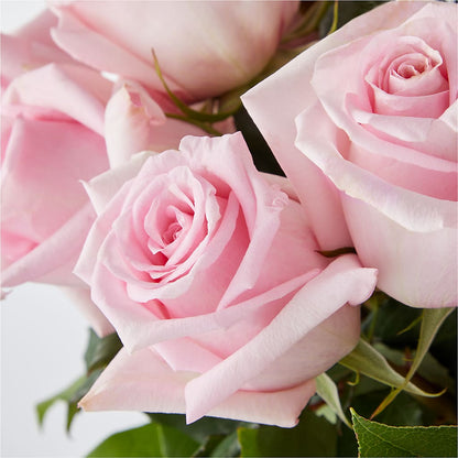 Picture Perfect Pink Rose Bouquet –  Charleston Cut Flower Company, Charleston WV
