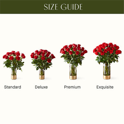 Classic Love Red Rose Bouquet –  Charleston Cut Flower Company, Charleston WV
