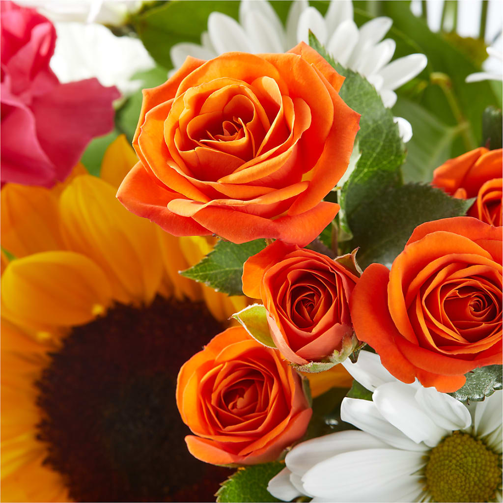 Sun-drenched Blooms Bouquet –  Charleston Cut Flower Company, Charleston WV