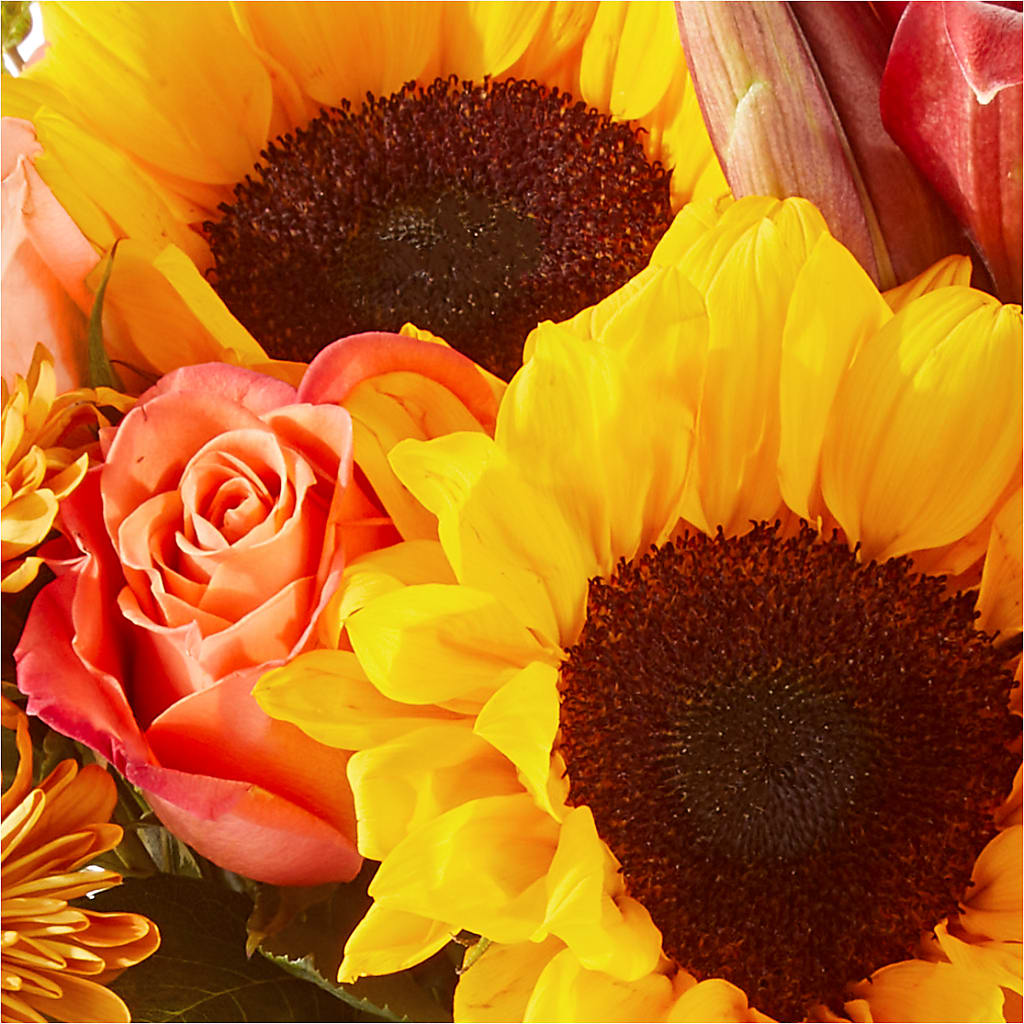 Acorn Lane Bouquet –  Charleston Cut Flower Company, Charleston WV