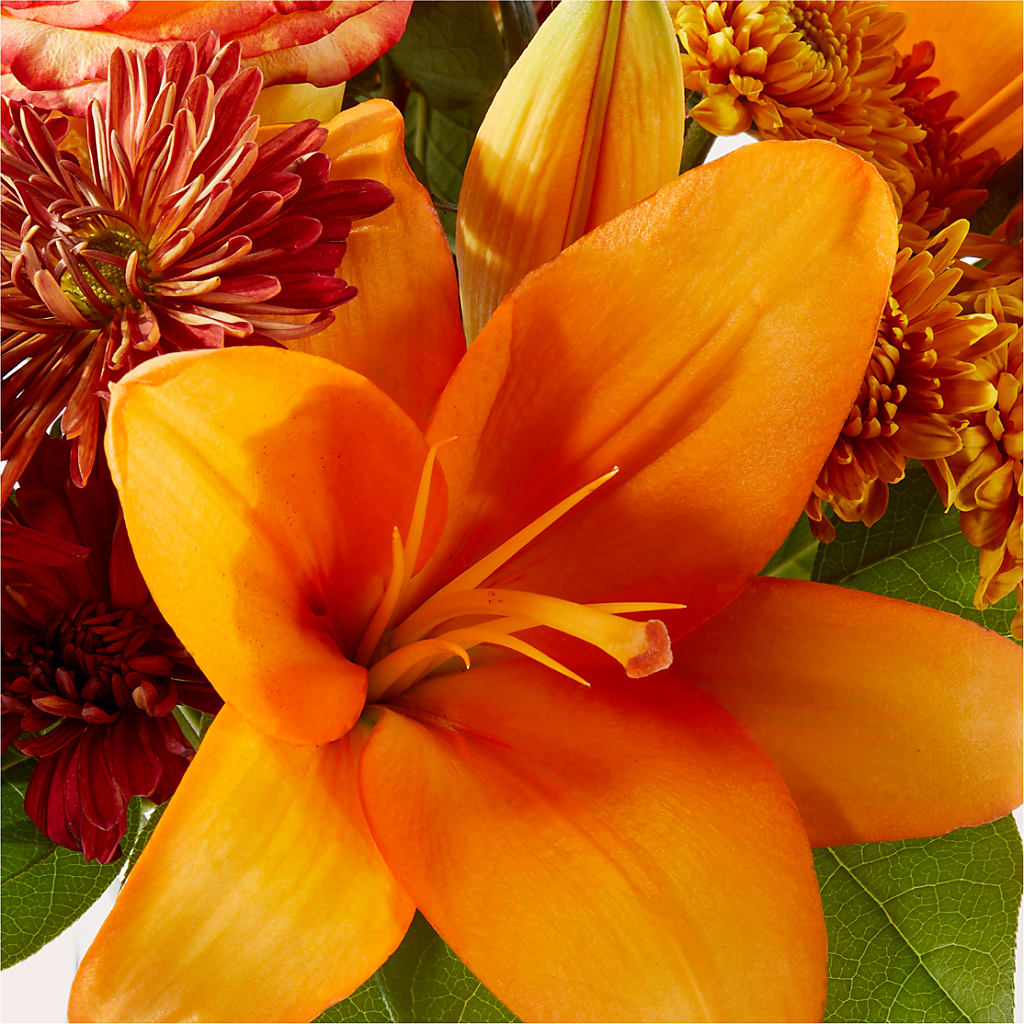 Autumnal Aroma Bouquet –  Charleston Cut Flower Company, Charleston WV