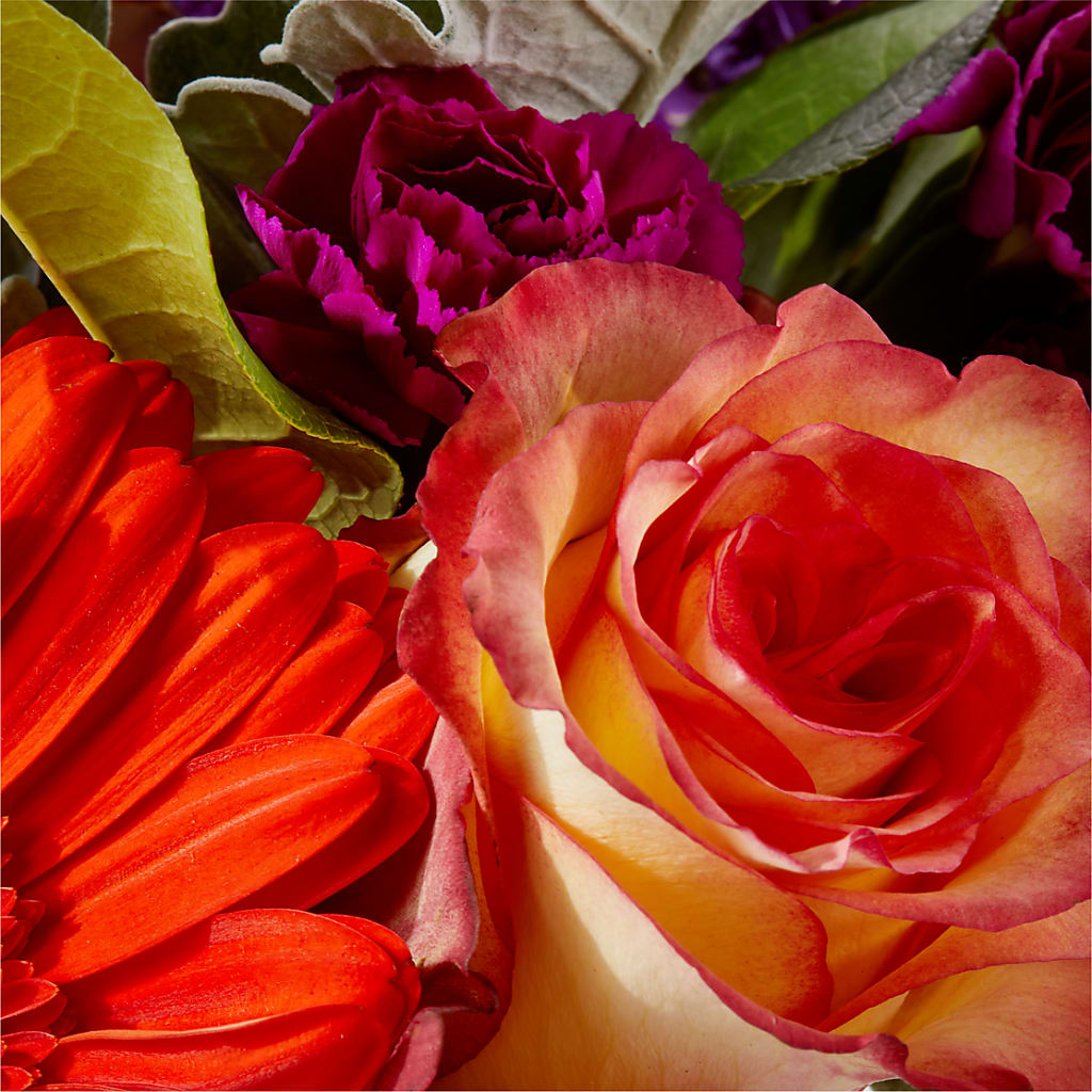 Sangria Bouquet –  Charleston Cut Flower Company, Charleston WV