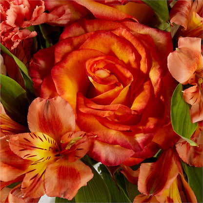 Apricot Glow Bouquet –  Charleston Cut Flower Company, Charleston WV