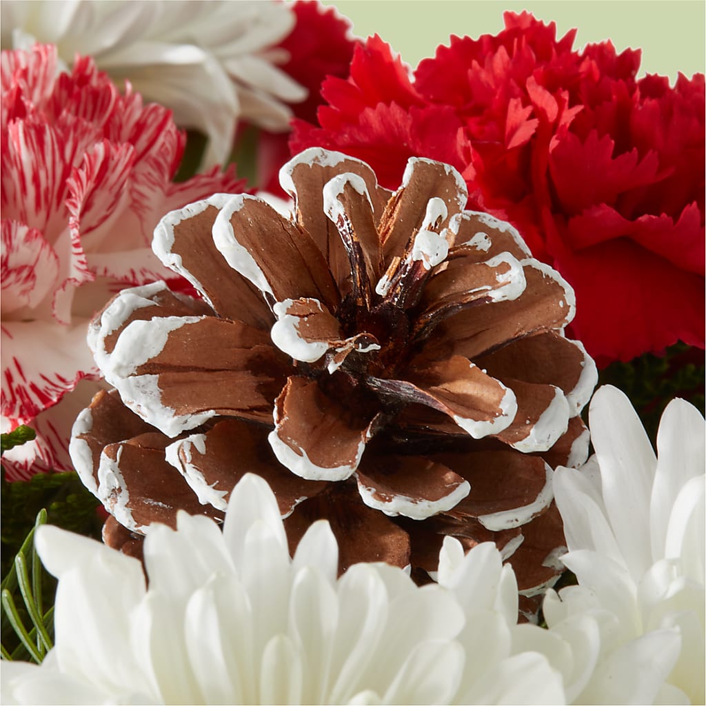 Candy Cane Lane Bouquet –  Charleston Cut Flower Company, Charleston WV