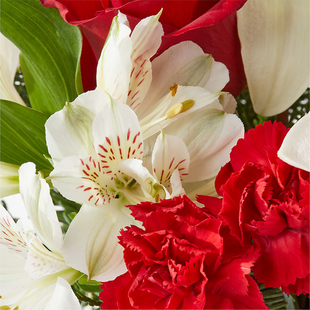 Holiday Season Bouquet –  Charleston Cut Flower Company, Charleston WV