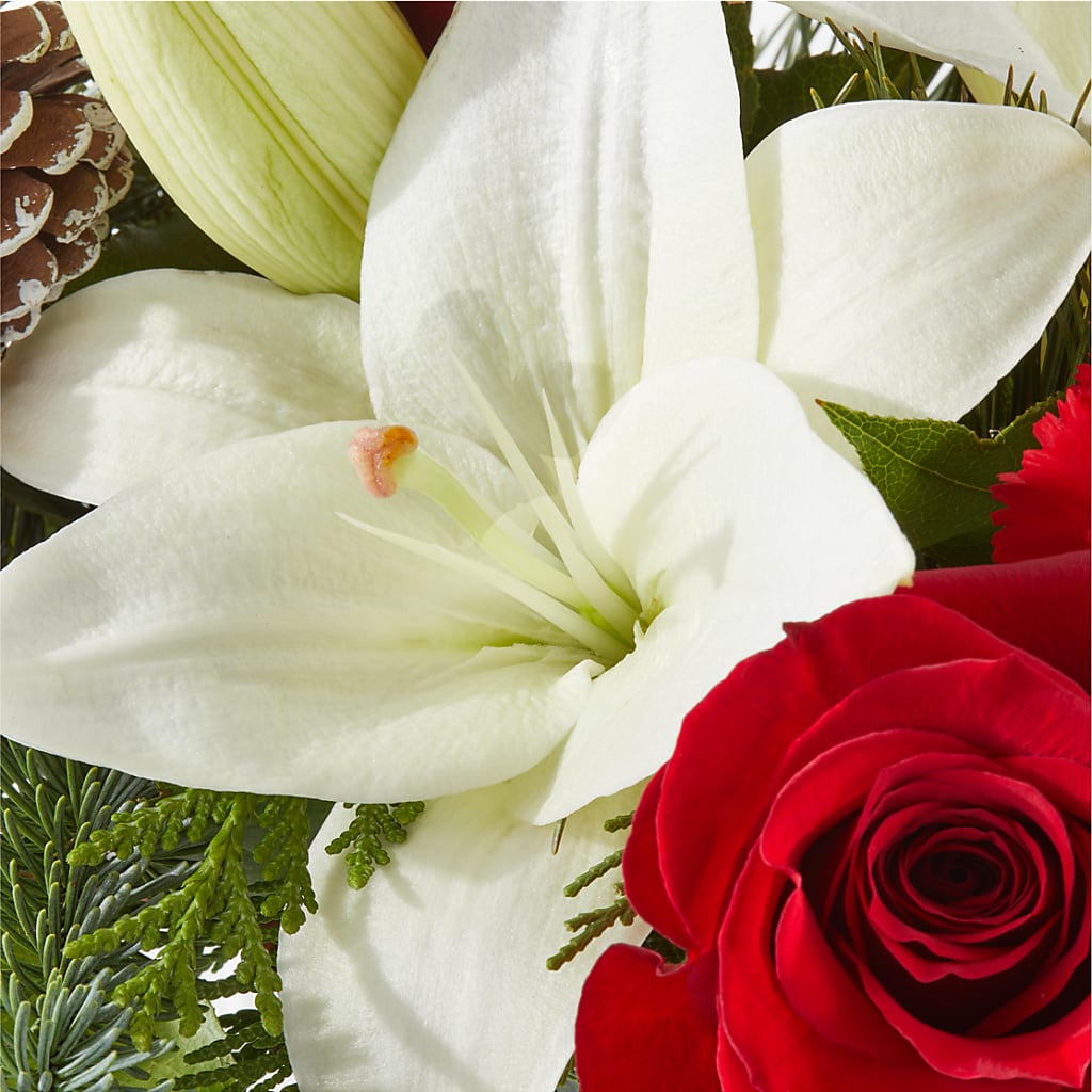 Oh So Jolly Bouquet –  Charleston Cut Flower Company, Charleston WV