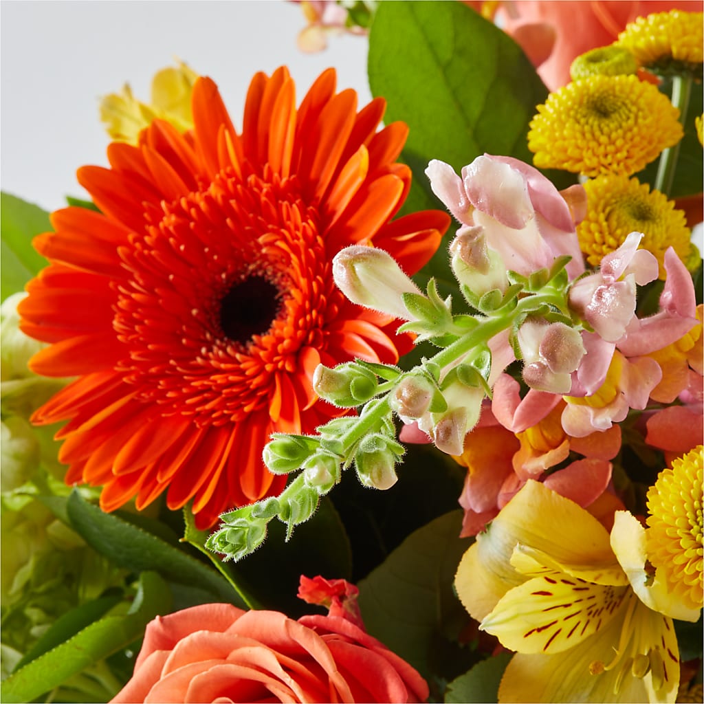 Autumn Sunshine Bouquet –  Charleston Cut Flower Company, Charleston WV