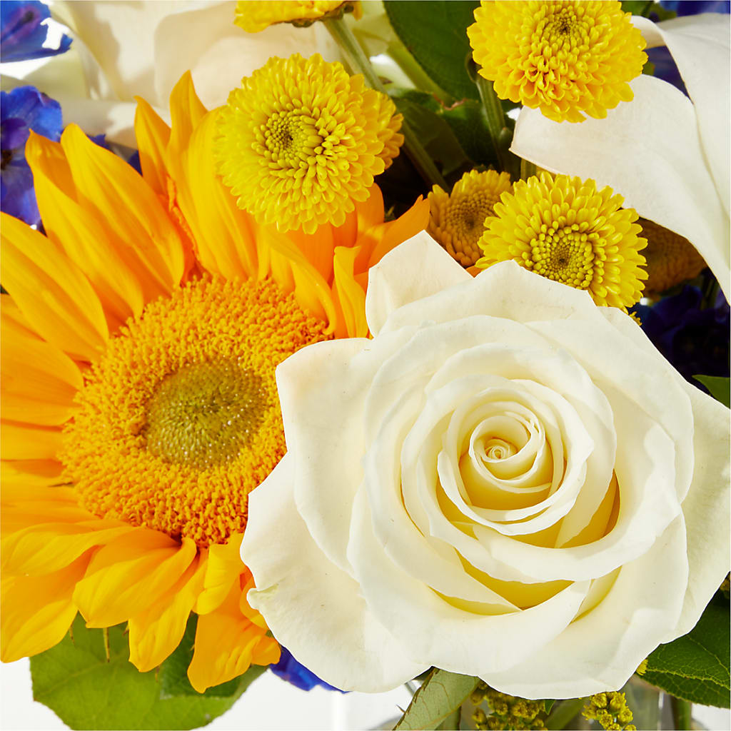 Stargazing Bouquet –  Charleston Cut Flower Company, Charleston WV