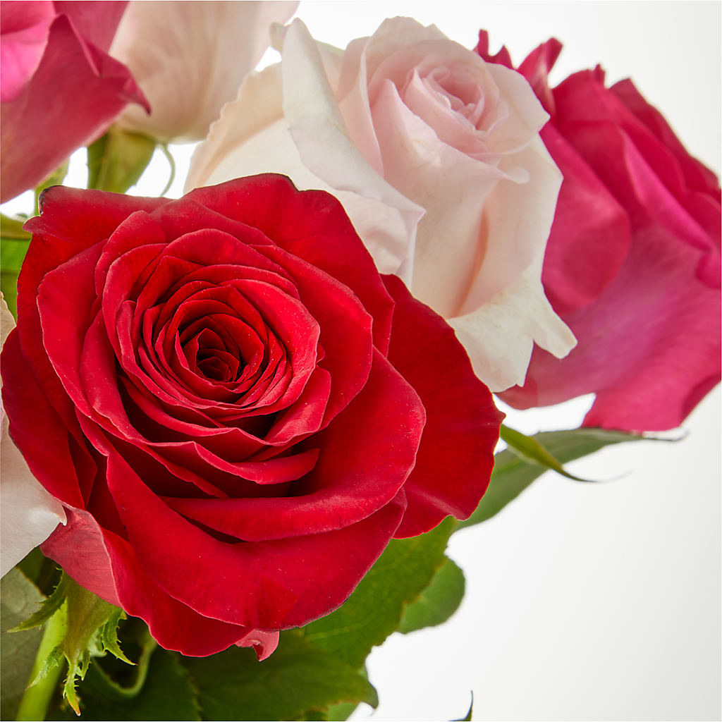 Charming Rose Bouquet –  Charleston Cut Flower Company, Charleston WV