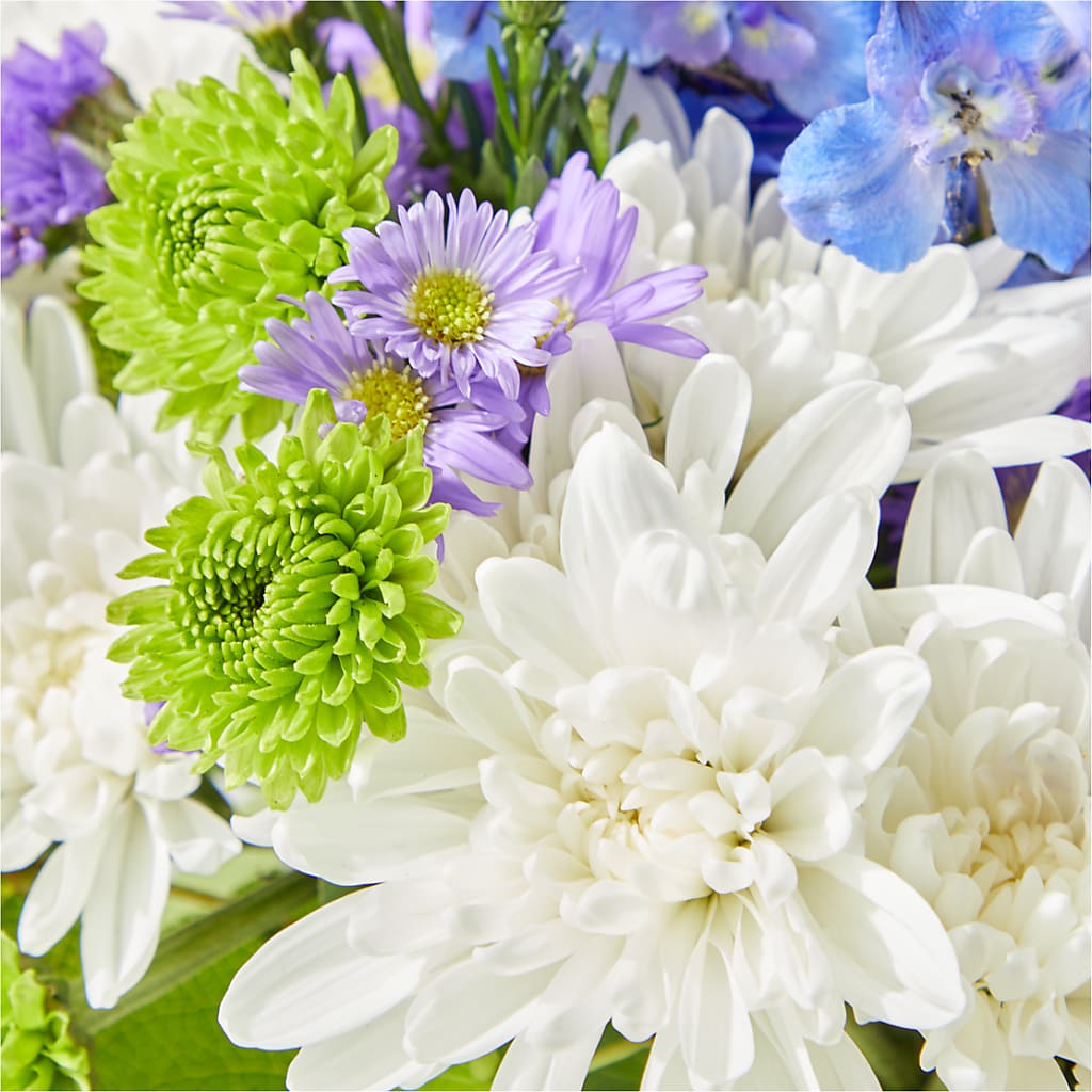 Genuine Gestures Bouquet –  Charleston Cut Flower Company, Charleston WV