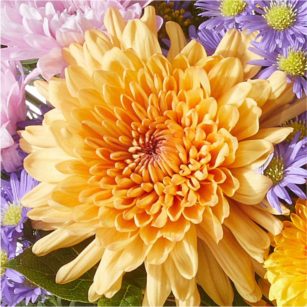 Countryside Bouquet –  Charleston Cut Flower Company, Charleston WV