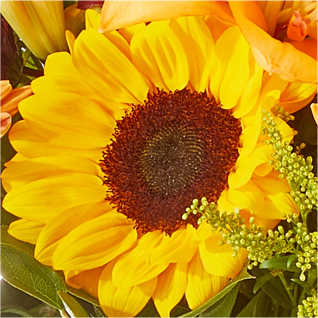 Seasons Change Bouquet –  Charleston Cut Flower Company, Charleston WV