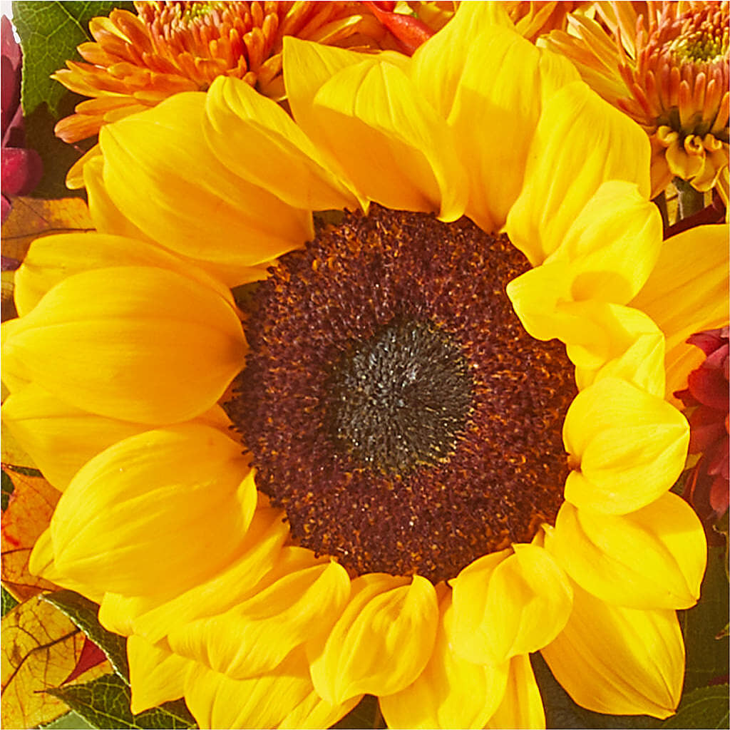 Sunny Side Bouquet –  Charleston Cut Flower Company, Charleston WV