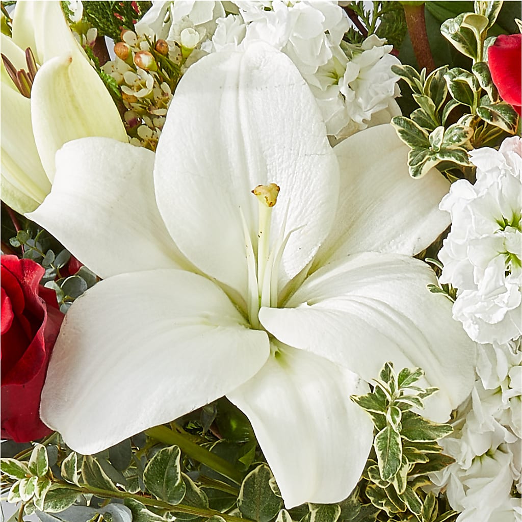 Twinkle Lights Bouquet –  Charleston Cut Flower Company, Charleston WV