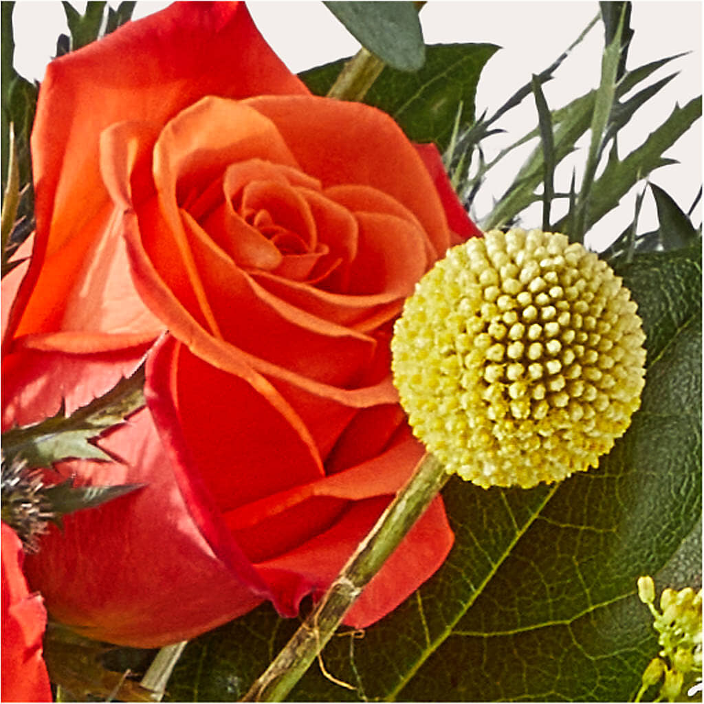 Disco Bouquet –  Charleston Cut Flower Company, Charleston WV