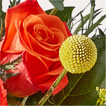 Disco Bouquet –  Charleston Cut Flower Company, Charleston WV