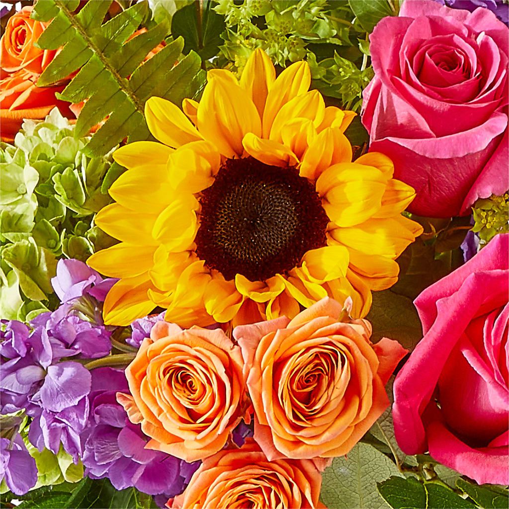Vibrant Greetings Bouquet –  Charleston Cut Flower Company, Charleston WV