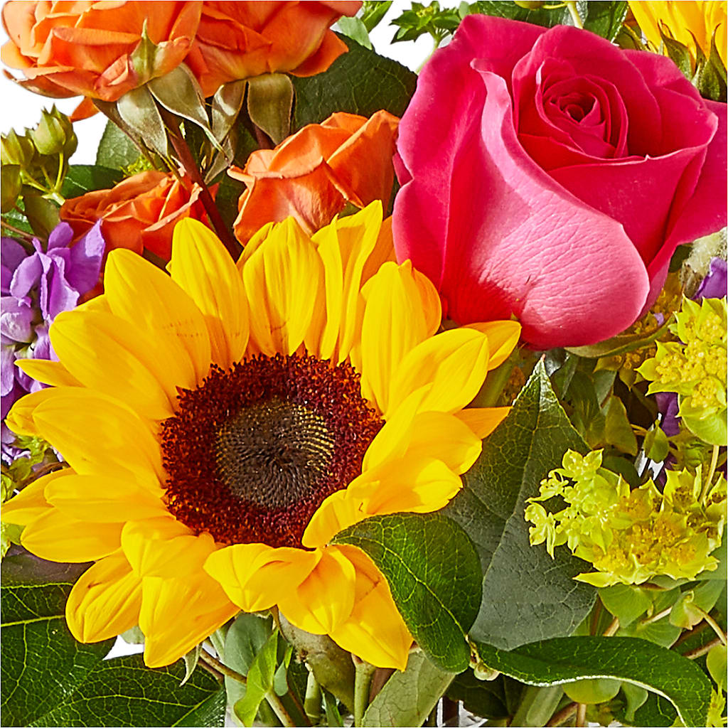 Vibrant Greetings Bouquet –  Charleston Cut Flower Company, Charleston WV