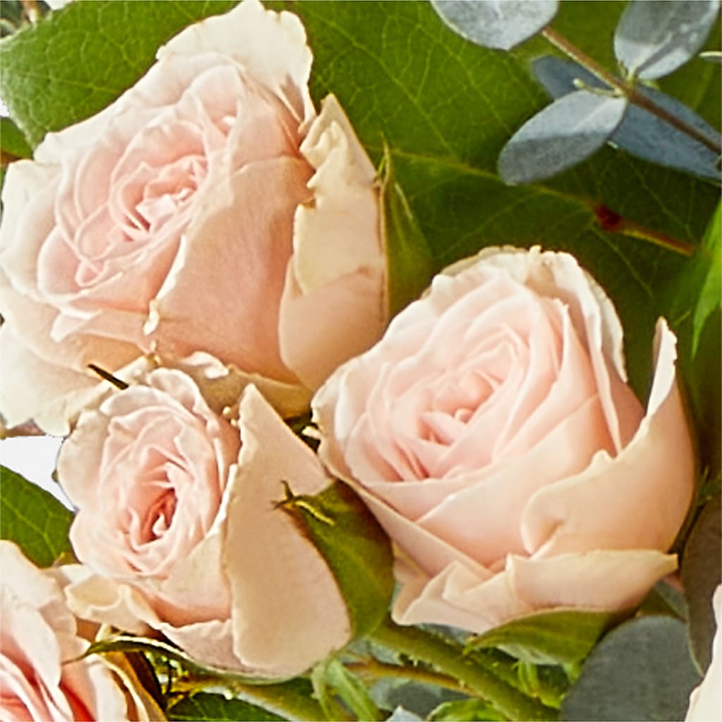 Inspired Bouquet –  Charleston Cut Flower Company, Charleston WV